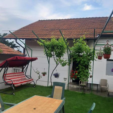 Vila Mir Пірот Екстер'єр фото