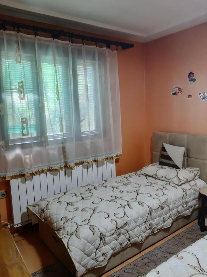 Vila Mir Пірот Екстер'єр фото
