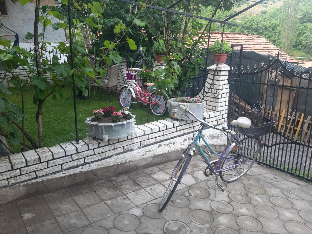 Vila Mir Пірот Екстер'єр фото