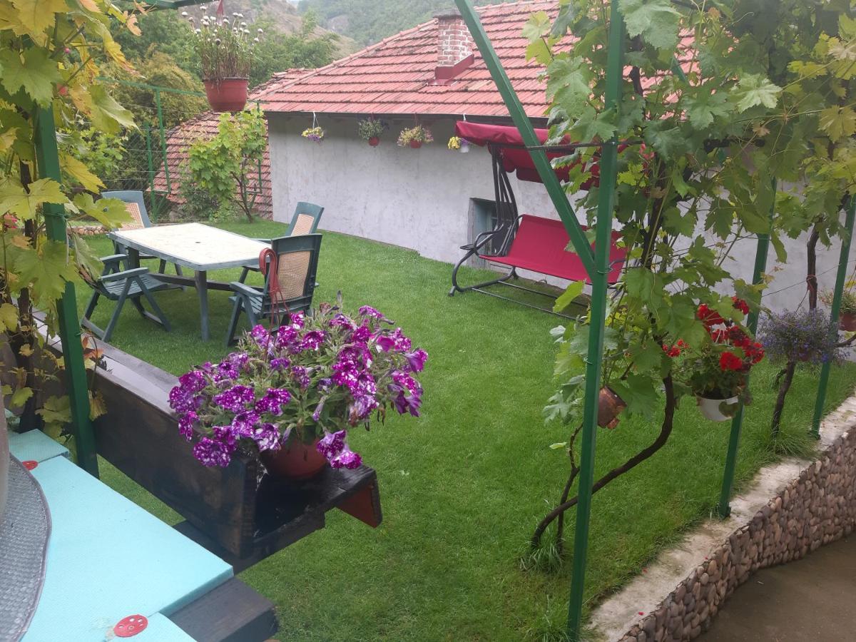 Vila Mir Пірот Екстер'єр фото