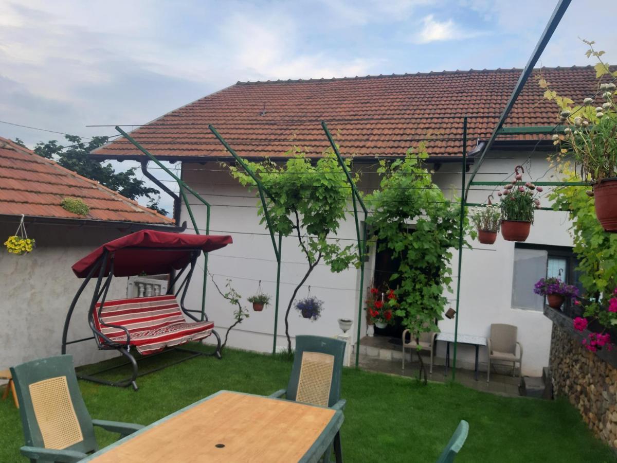 Vila Mir Пірот Екстер'єр фото